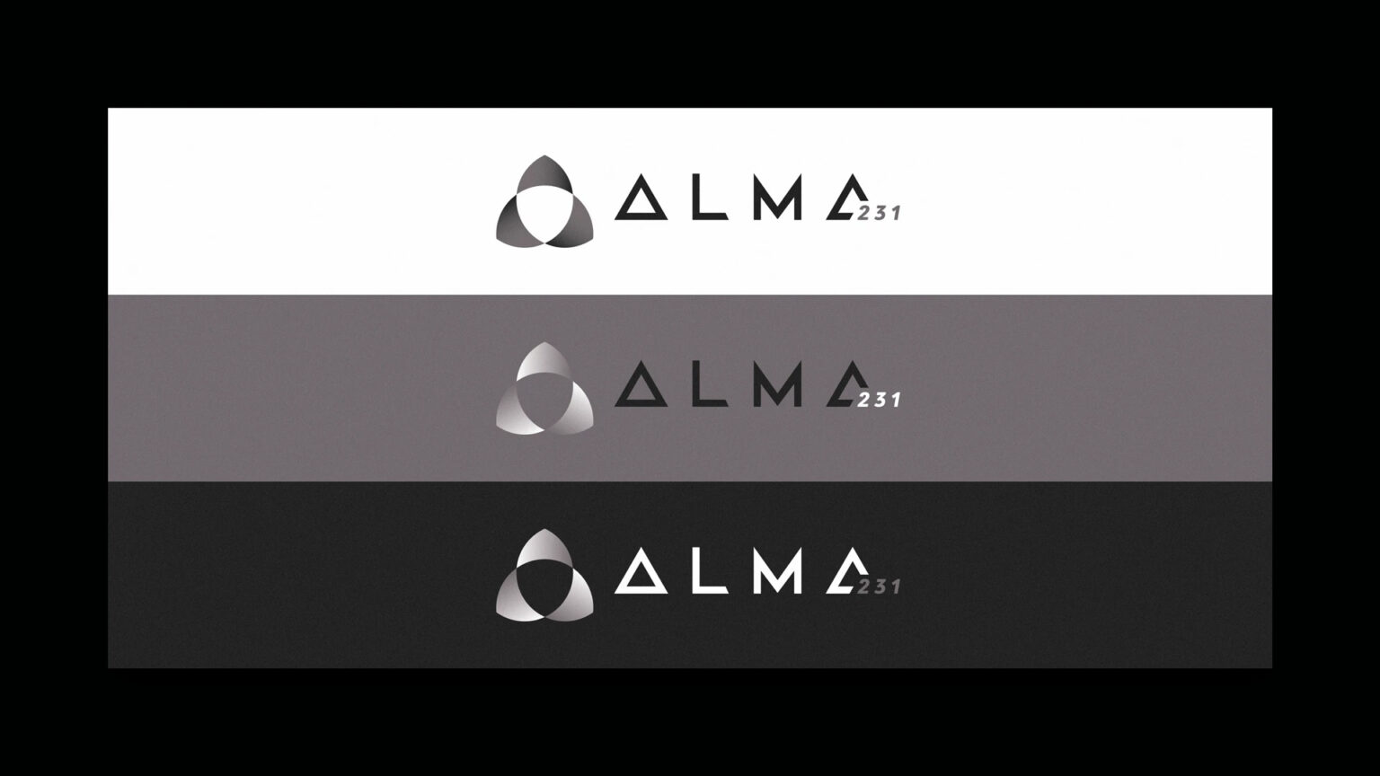 Alma 231 - Dottori Commercialisti & Revisori Legali